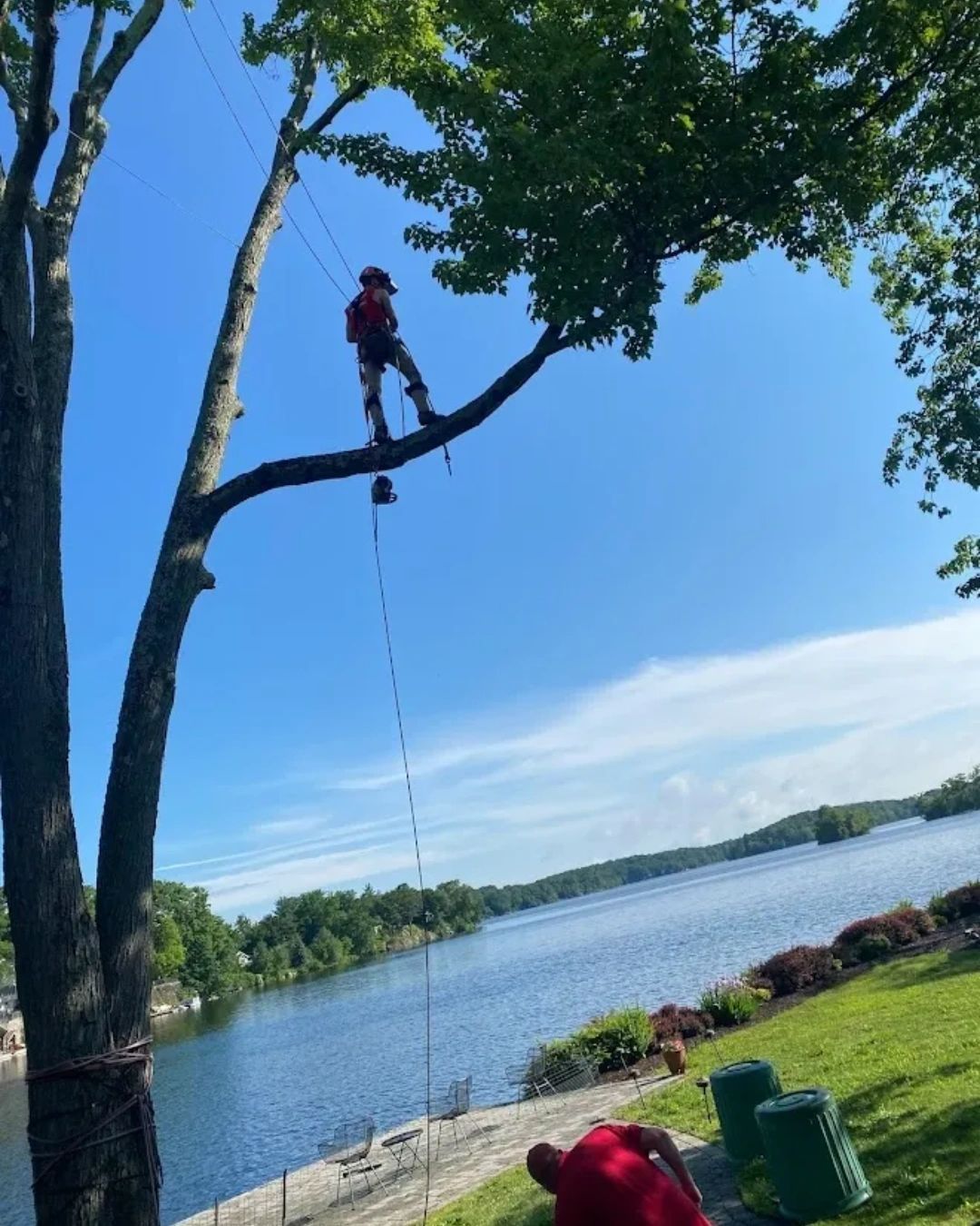 Person standing on a tree branch over a lake, with a rope hanging below and a person below on the shore.