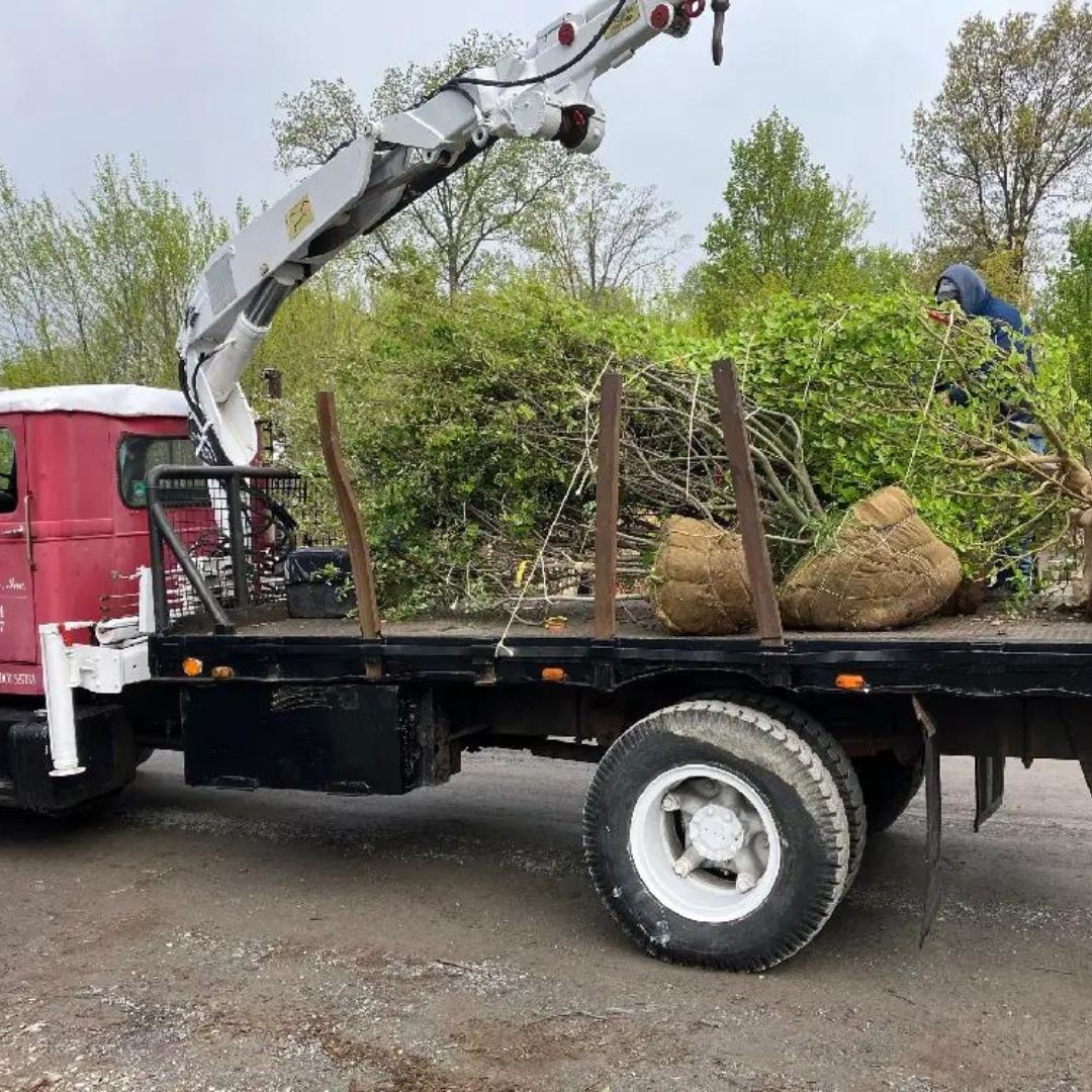 Flatbed truck with crane loading large rocks in a muddy outdoor worksite