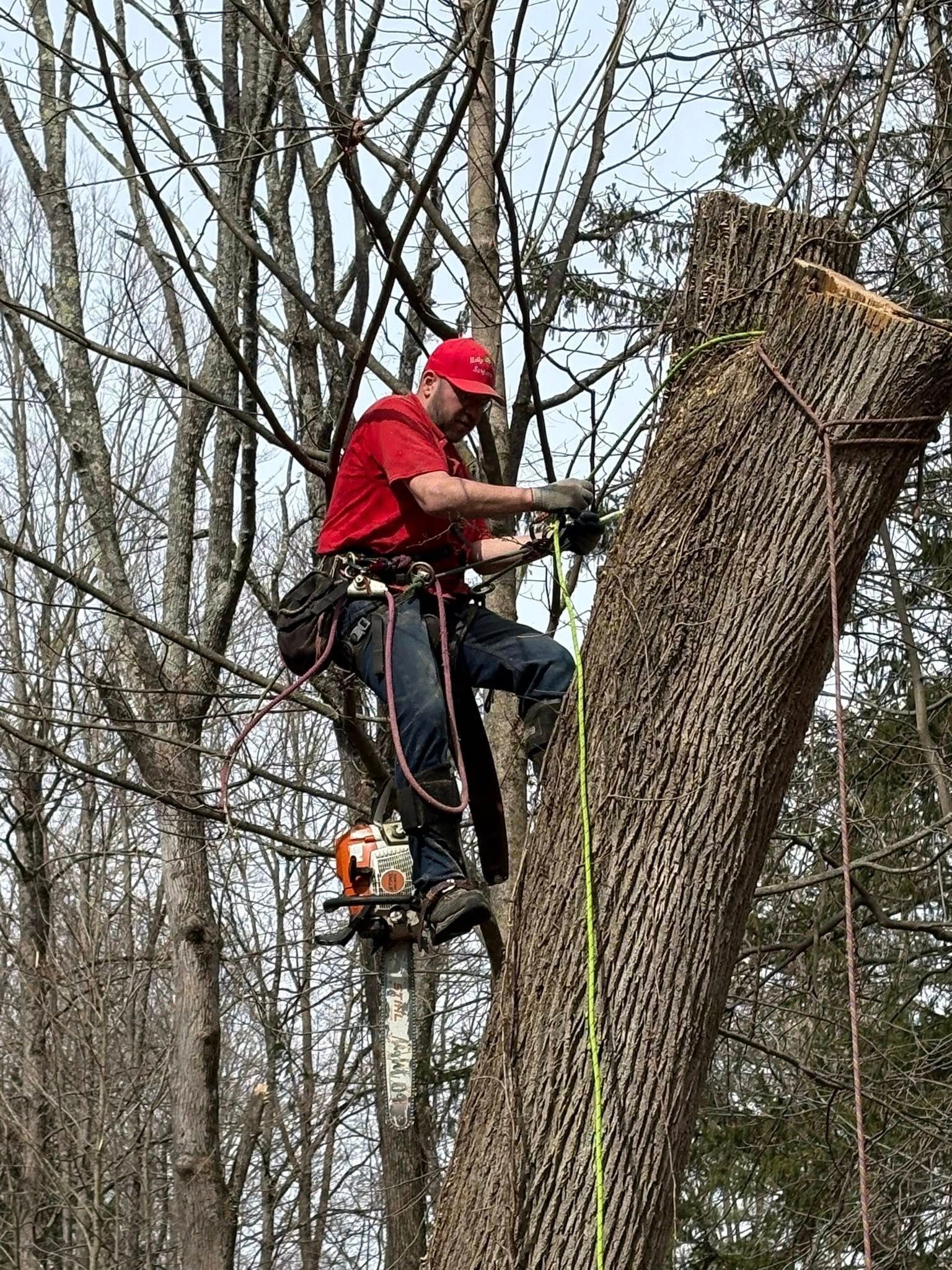 Arborist in red shirt using a chainsaw to cut a leaning tree in a leafless wooded area