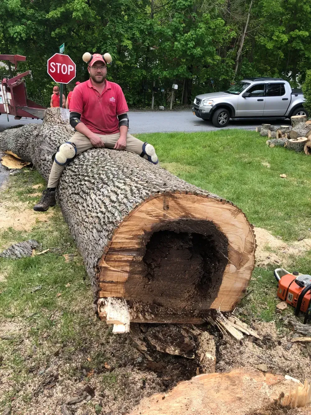 Man in pink shirt and bear hat sitting on a large felled tree trunk outdoors near a stop sign and truck