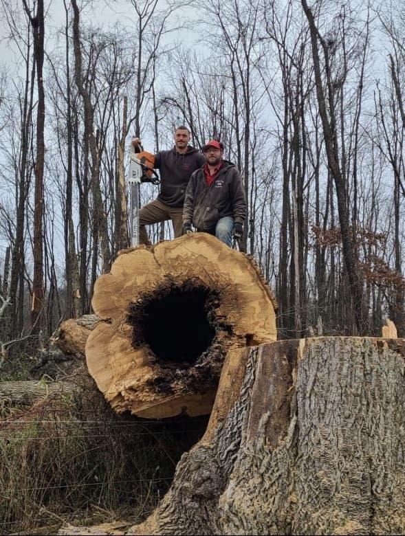 Two people sitting on a giant fallen log in a bare winter forest, one giving a thumbs-up