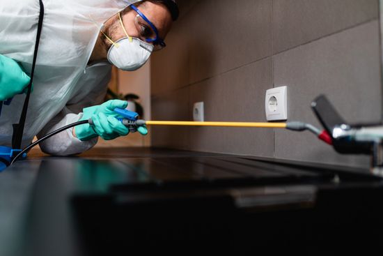 House Pest Control — Burnie, TAS — Coastal Pest Control
