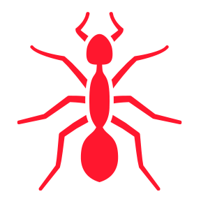 Ants — Burnie, TAS — Coastal Pest Control Ants — Burnie, TAS — Coastal Pest Control
