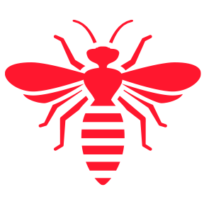Bee’s & Wasps — Burnie, TAS — Coastal Pest Control Bee’s & Wasps — Burnie, TAS — Coastal Pest Control