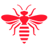 Bee’s & Wasps — Burnie, TAS — Coastal Pest Control Bee’s & Wasps — Burnie, TAS — Coastal Pest Control