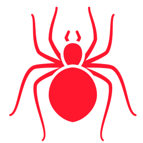 Spiders — Burnie, TAS — Coastal Pest Control Spiders — Burnie, TAS — Coastal Pest Control