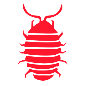Wood Lice — Burnie, TAS — Coastal Pest Control Wood Lice — Burnie, TAS — Coastal Pest Control