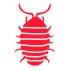 Wood Lice — Burnie, TAS — Coastal Pest Control Wood Lice — Burnie, TAS — Coastal Pest Control