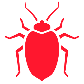 Bed Bugs — Burnie, TAS — Coastal Pest Control Bed Bugs — Burnie, TAS — Coastal Pest Control