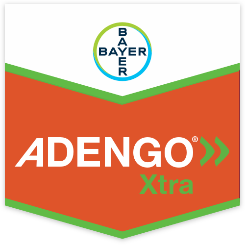 Adengo Xtra