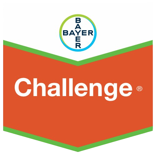 Challenge