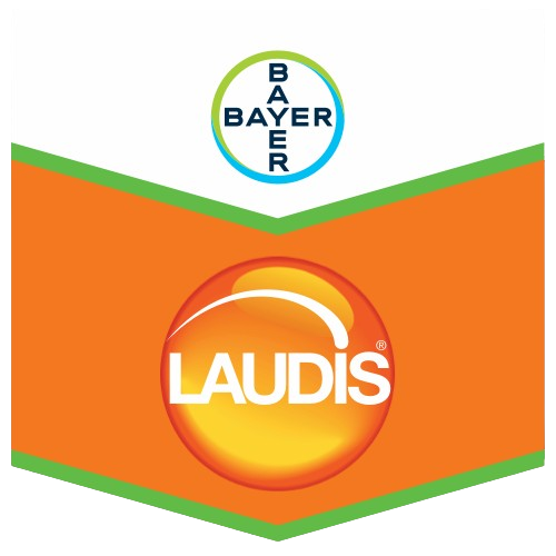 Laudis