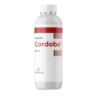 Cordoba