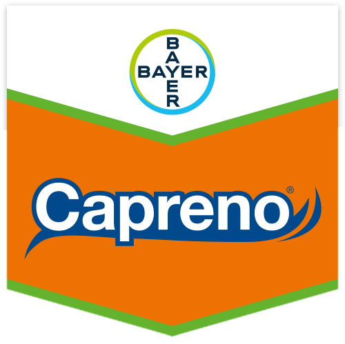 Capreno