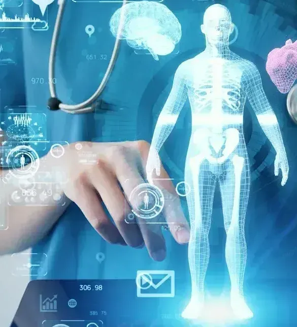 Doctor interacting with a 3D human body model on a digital interface; medical technology concept.