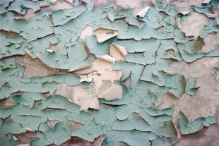 Close-up of peeling pastel paint on a weathered wall, with mint green, beige, and pink flakes.