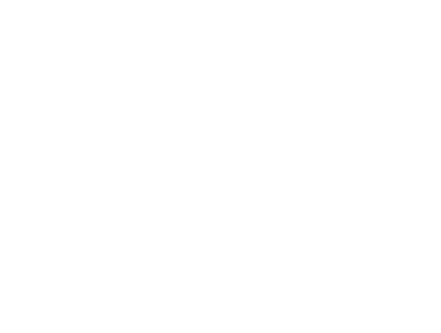 logo in white
