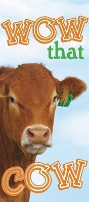 A brown cow with a green ear tag, text