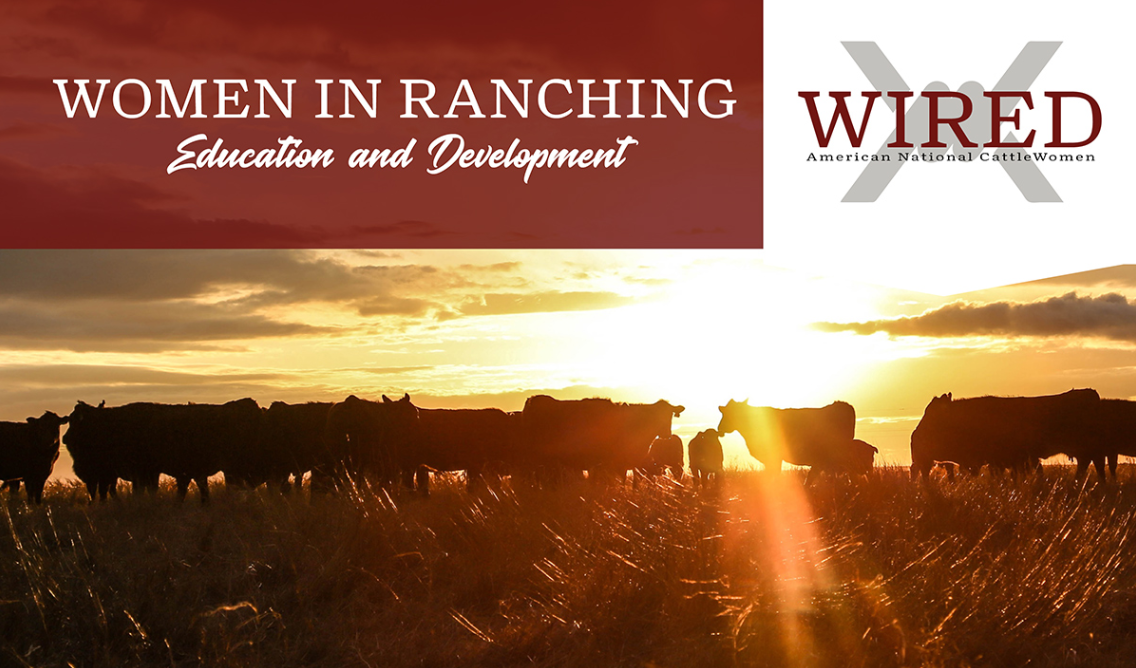 Women in Ranching event banner with cows silhouetted at sunset.
