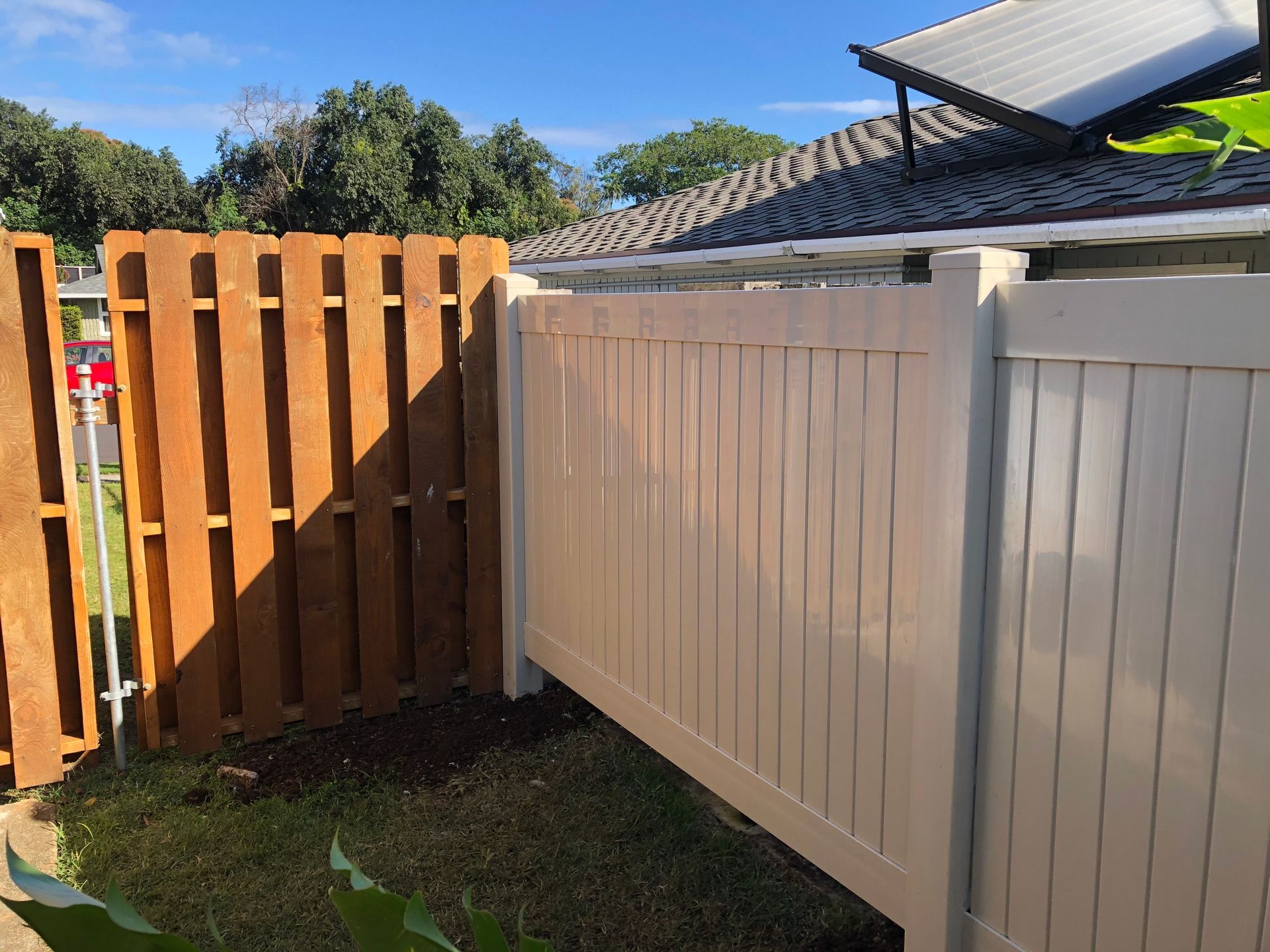 A wooden fence meets a white vinyl fence in a residential yard under a clear blue sky.