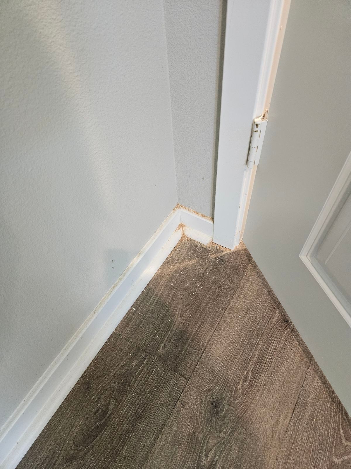 Corner of a room with gray walls, white trim, and a worn brown carpet near a doorway
