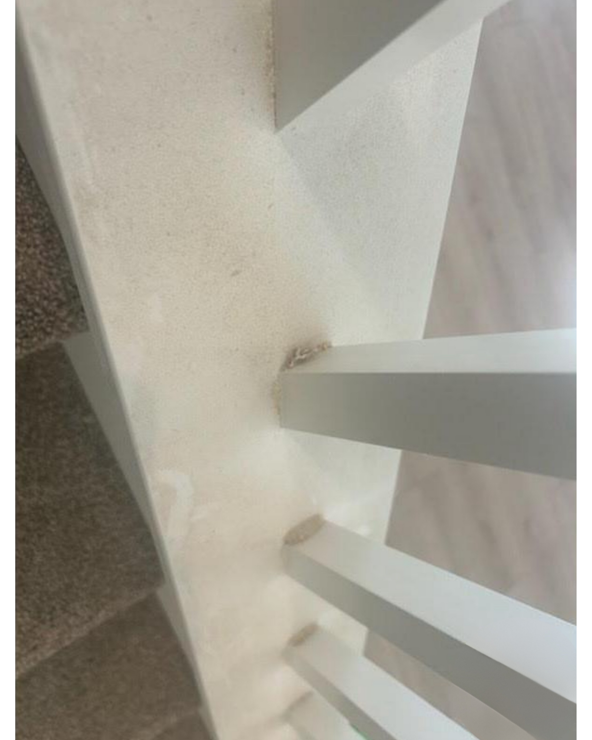 White staircase railing and carpeted steps viewed from above indoors