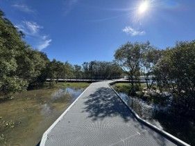 Boardwalk path through a sunny wetland with trees and water under a bright blue sky
