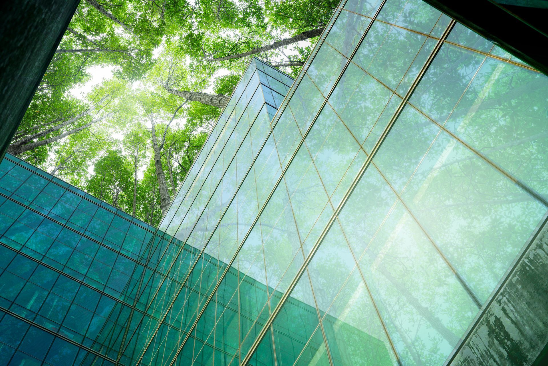 Glass building facade reflecting green trees and sky Glass building facade reflecting green trees and sky