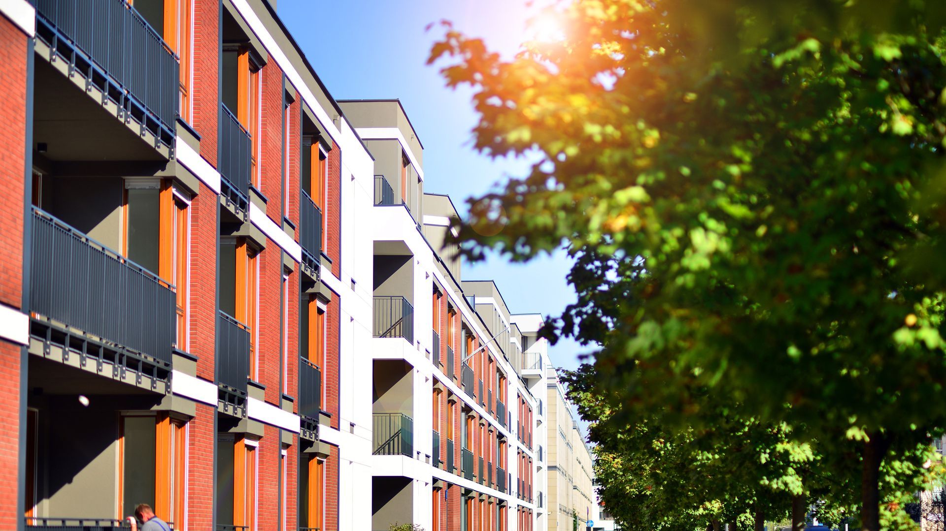 Modern apartment buildings with red and white facades beside a leafy tree in sunlight