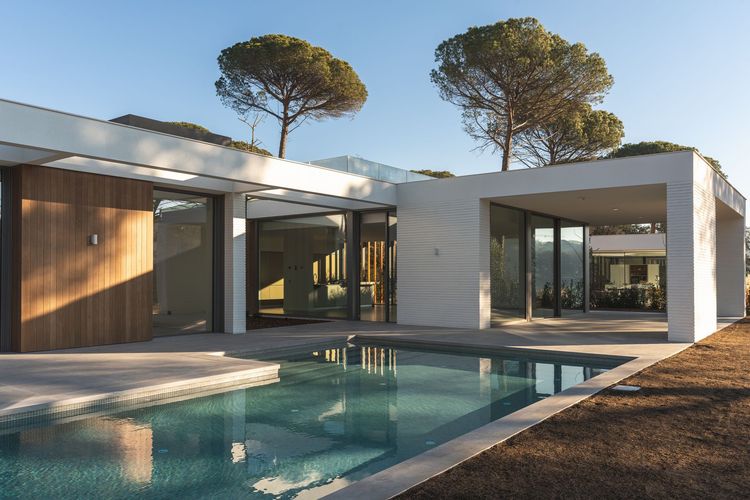 Modern house with a pool, glass walls, and trees on the roof terrace Modern house with a pool, glass walls, and trees on the roof terrace