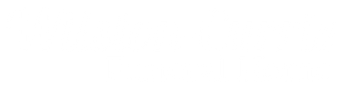 logo-image
