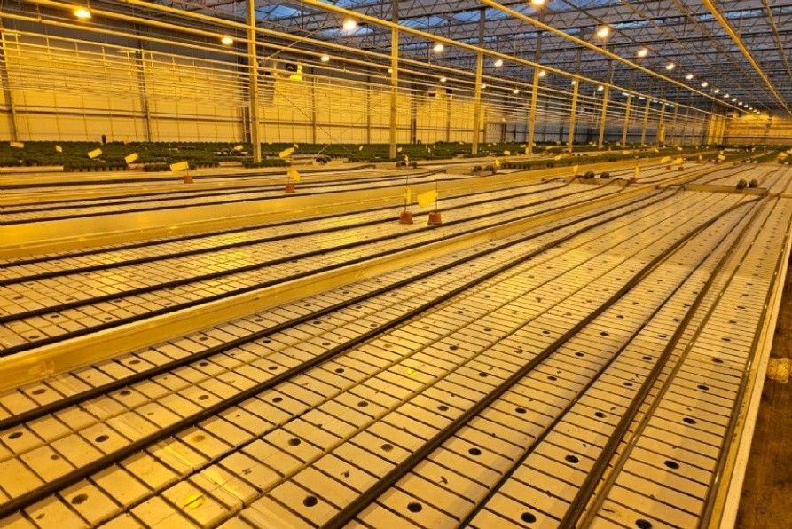 Picture of a patented brush system that is cleaning a nursery table.