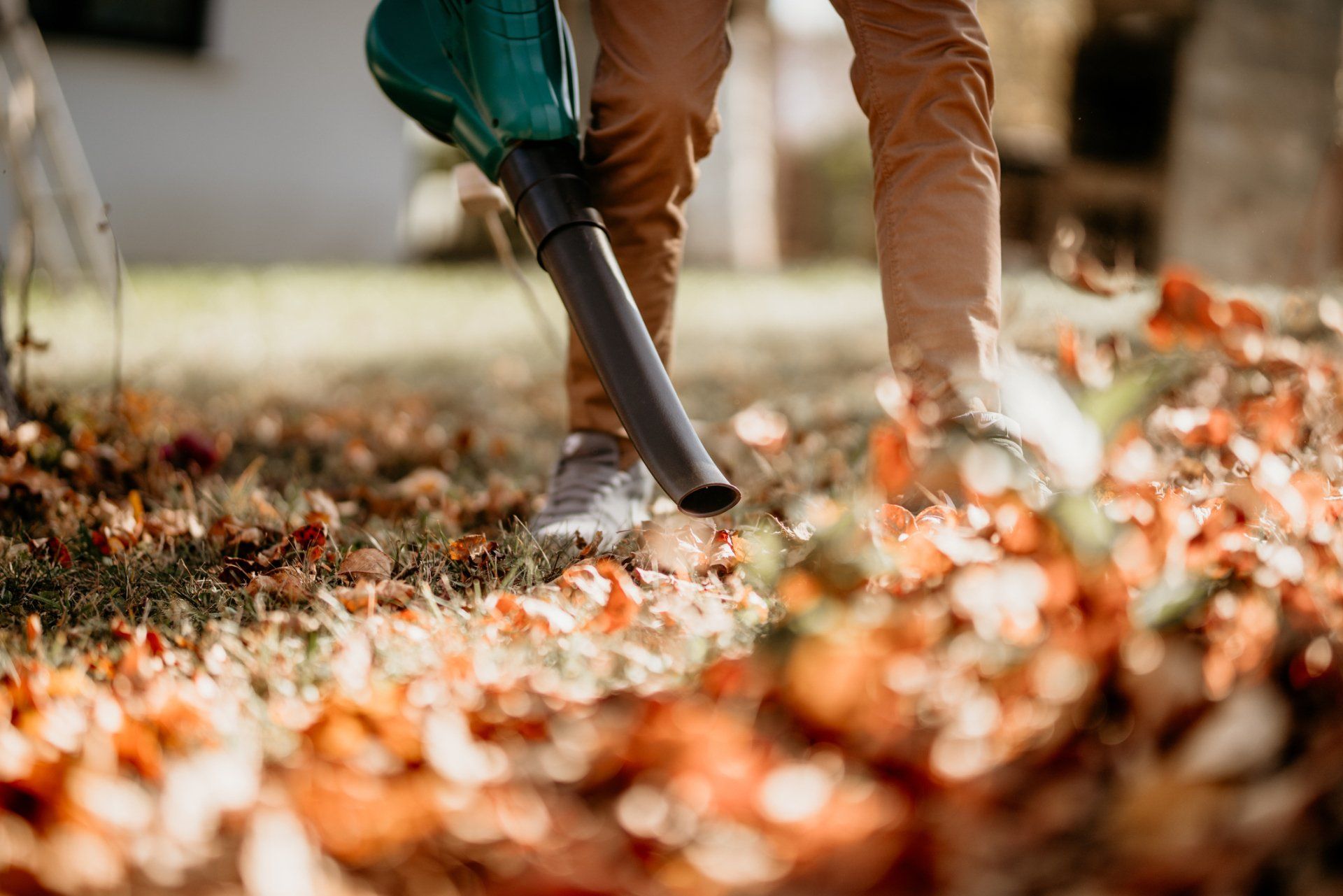 Lawn Leaves and Grass Blowing — Thibodaux, LA — Beyond Blessed Lawn Care and Home Maintenance, LLC