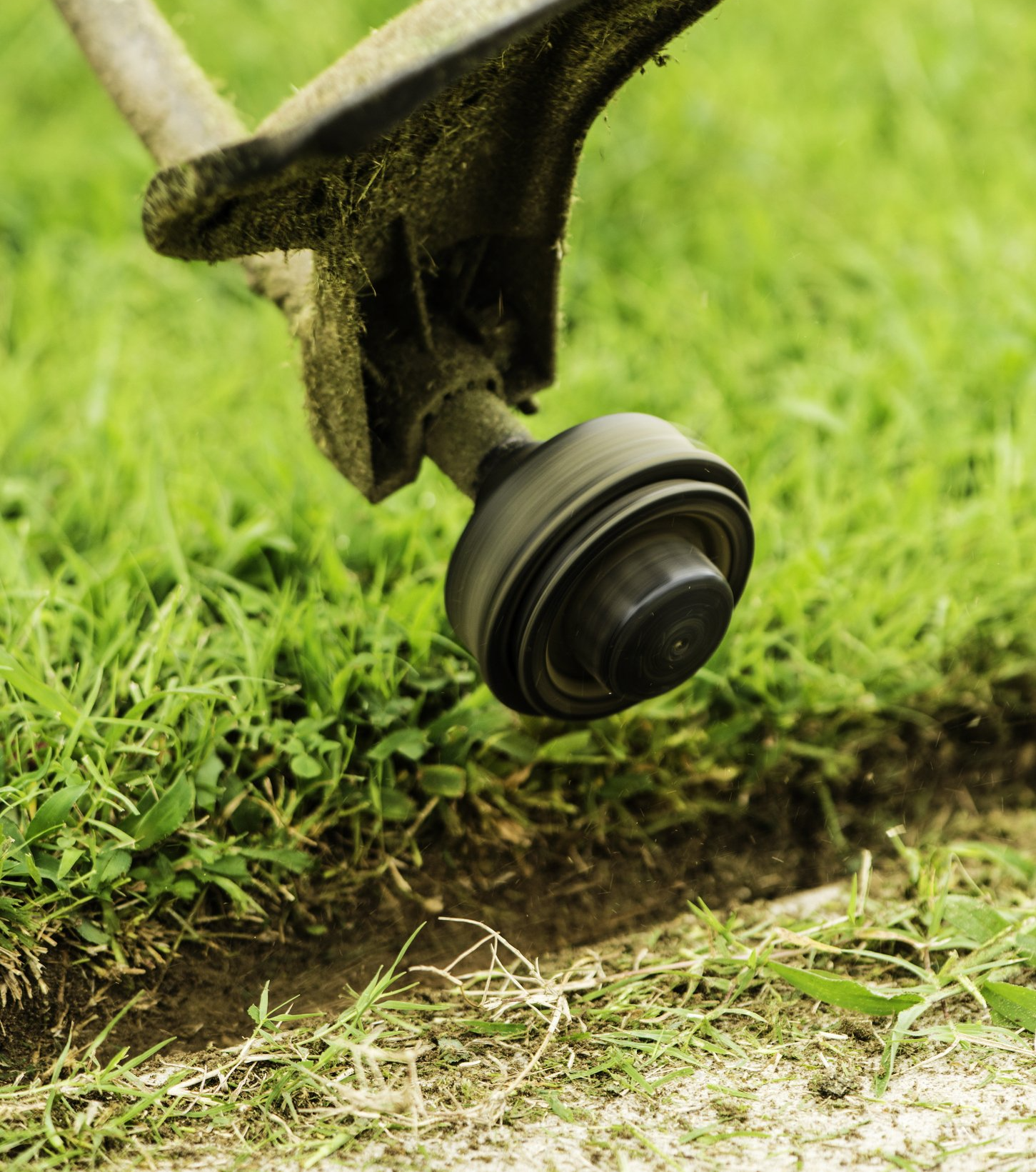 Lawn Edging — Thibodaux, LA — Beyond Blessed Lawn Care and Home Maintenance, LLC