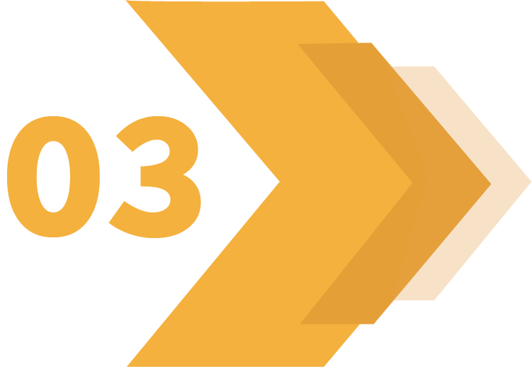 03 Administer Your Survey