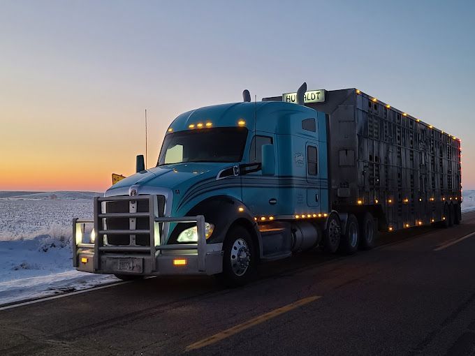 A blue semi truck is driving down a snowy road.