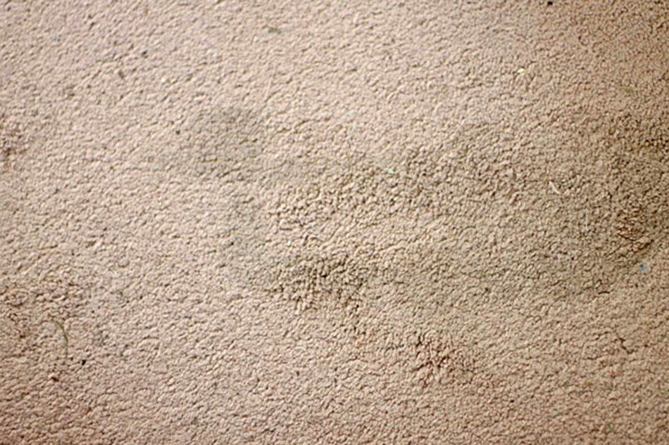 Steam Carpet Cleaning — Bangor, ME — Central Maine Cleaning