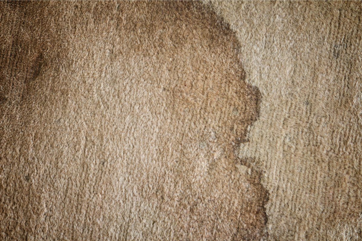 Cleaning Carpet — Bangor, ME — Central Maine Cleaning