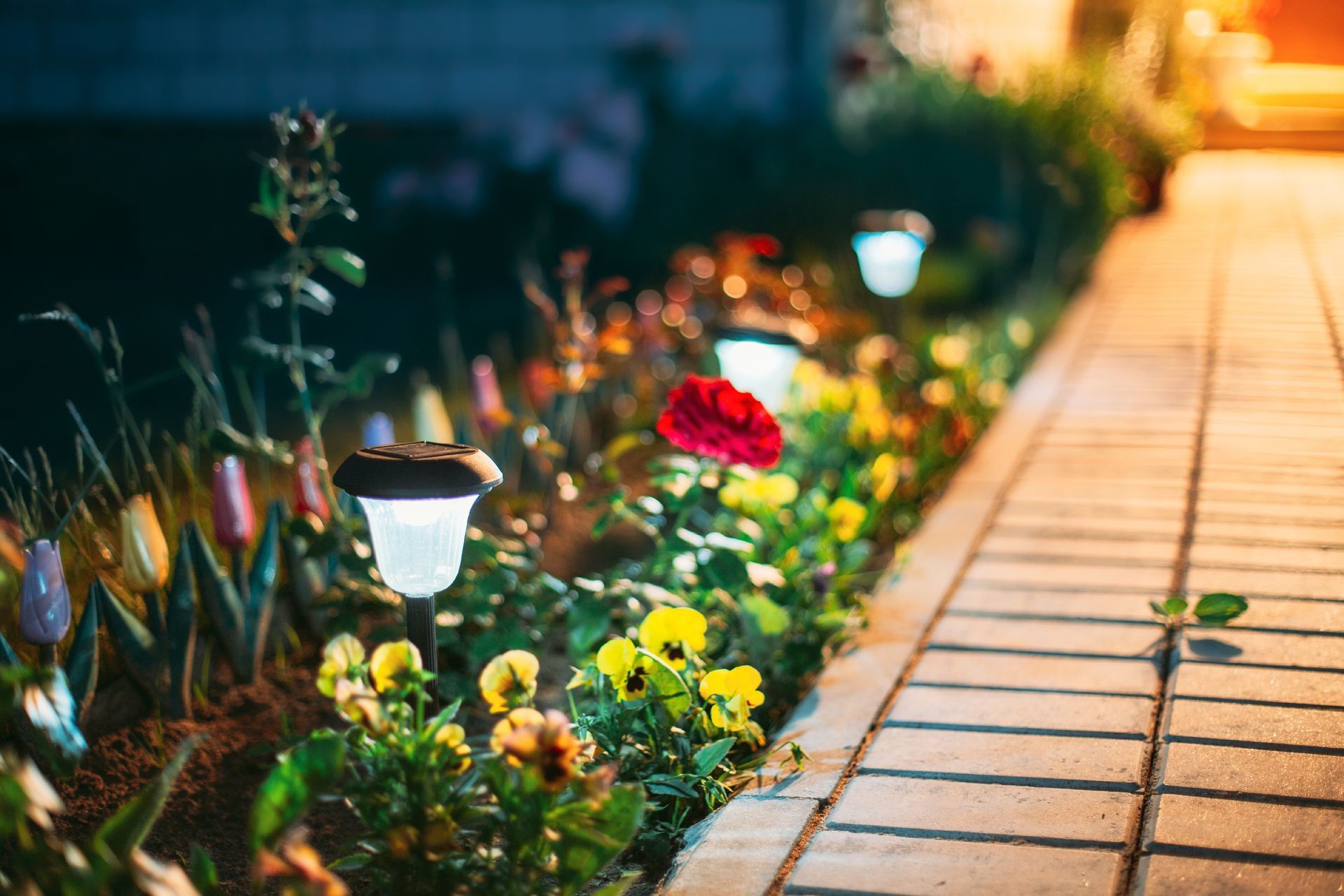 A brick walkway surrounded by flowers and solar lights at night.