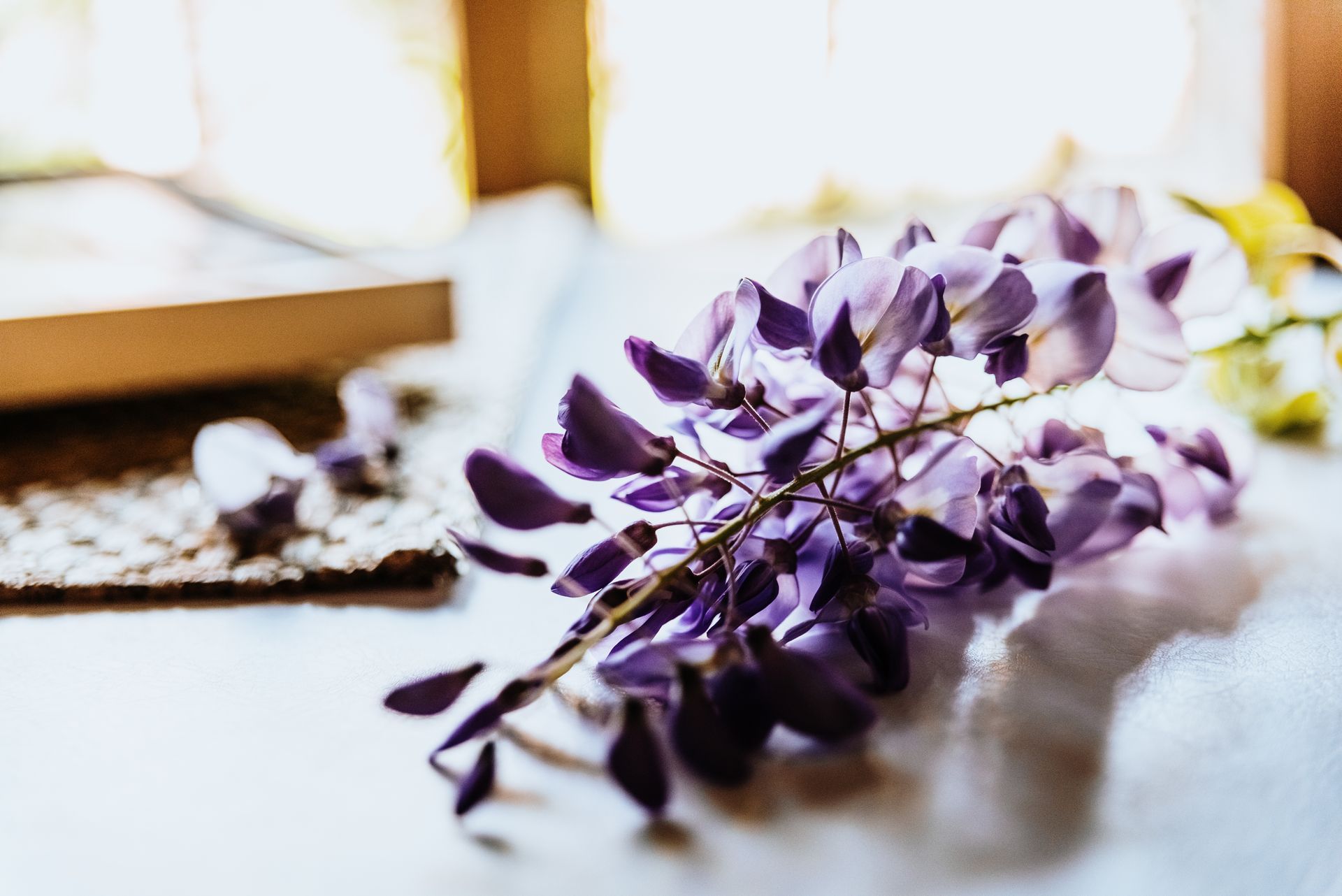 A sprig of purple wisteria flowers rests on a light-colored surface near a blurred book.