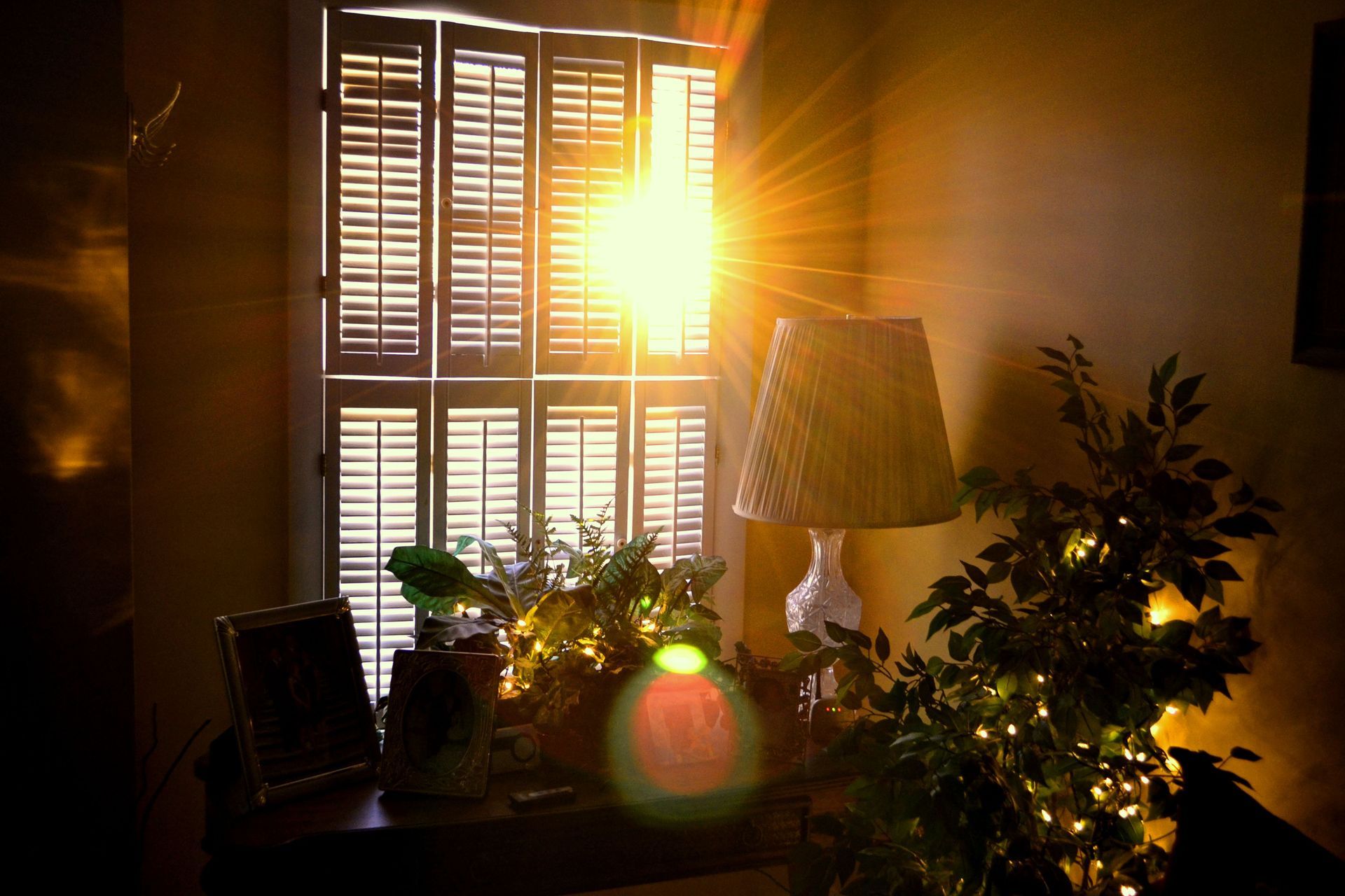 Bright sunlight streams through window shutters behind a lamp and a green plant adorned with small string lights.