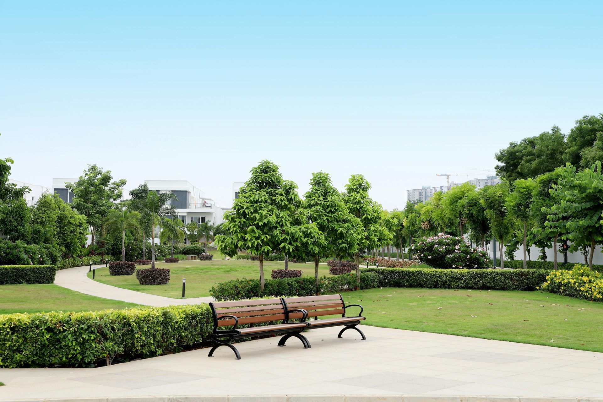 Park with green trees, winding paths, and a wooden bench under a bright blue sky
