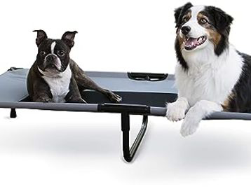 Elevated Dog Bed - Livermore, CO - Marlos Golden Retrievers Elevated Dog Bed - Livermore, CO - Marlos Golden Retrievers