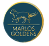 Marlos Golden Retrievers