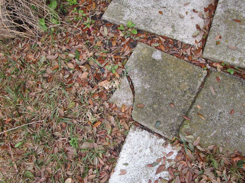 Broken concrete pavers scattered with dry leaves and grass along a garden path