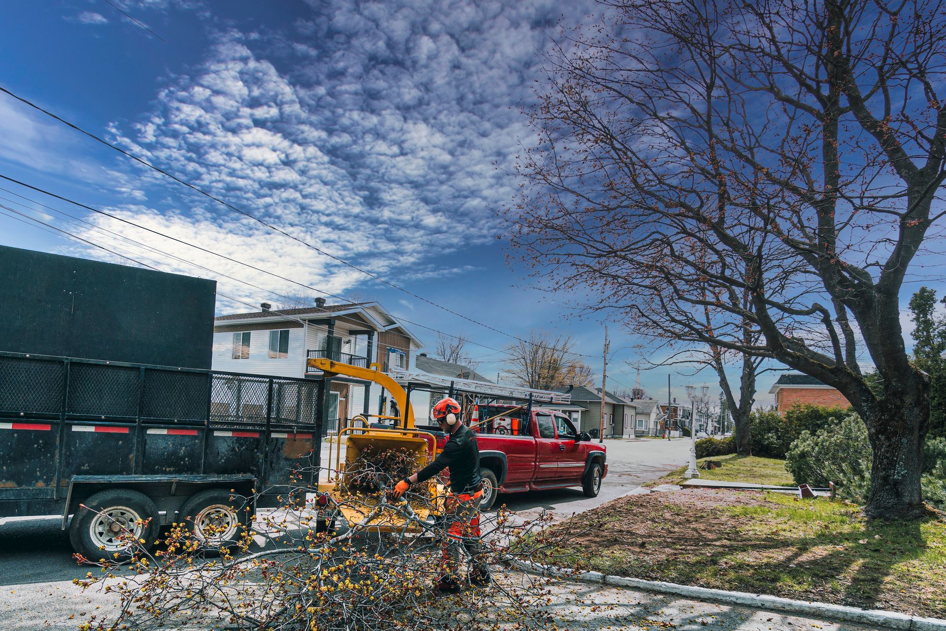 Arborist chipping tree branches on a sunny day. Leaves and debris in the air; trailer and red truck parked nearby.