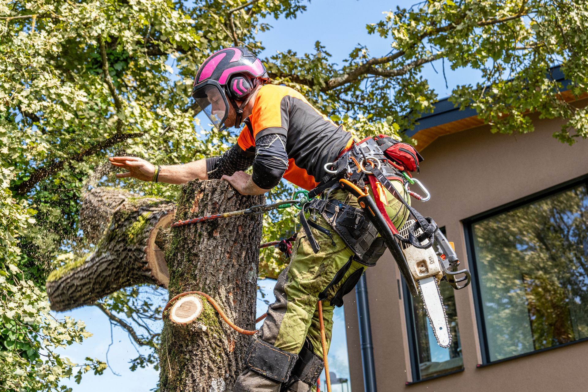 Arborist in protective gear cutting tree limb with a chainsaw. Bright orange and green clothing.