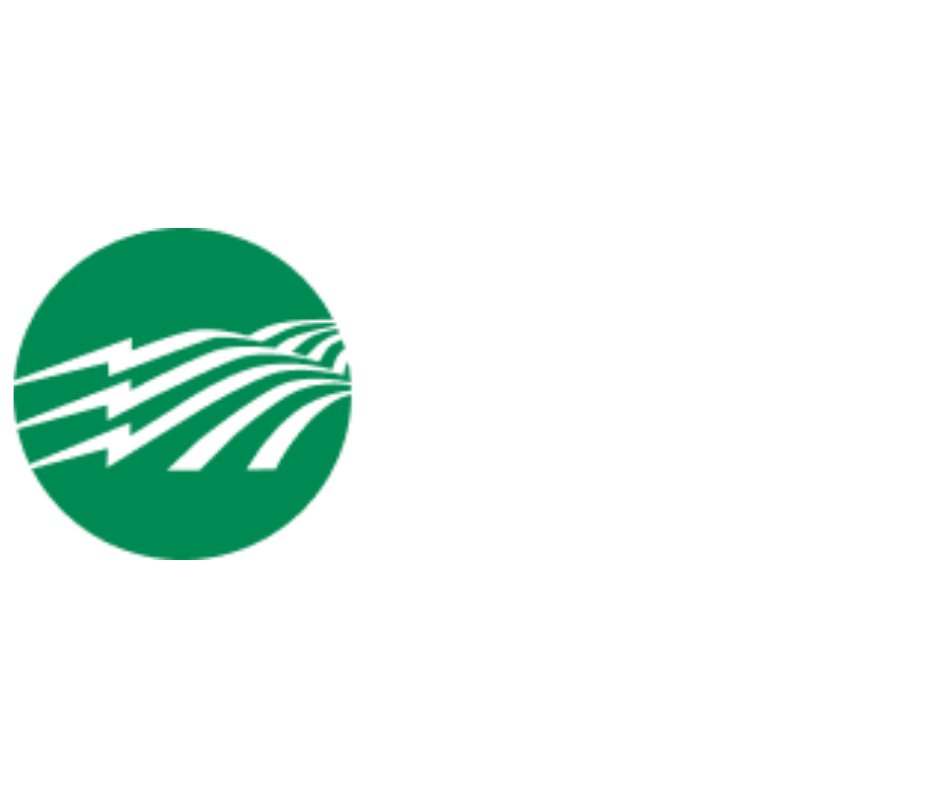 Logo 5