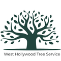 black tree with branches and leaves