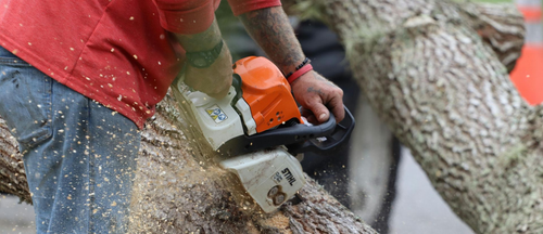 Man with chain saw
